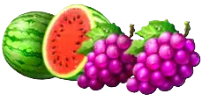 Symbol Arbuz