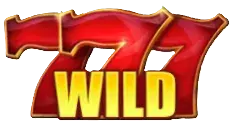Symbol Wild